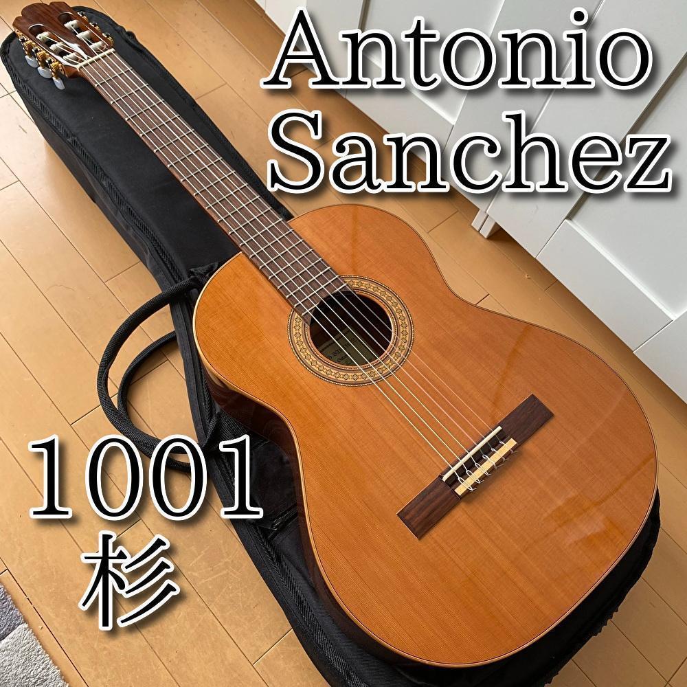 ヤフオク! -「sanchez」(ギター) (楽器、器材)の落札相場・落札価格