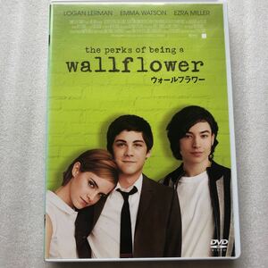 ウォールフラワー／ローガンラーマンエマワトソンエズラミラースティーヴンチョボスキー （監督、脚本 中古 DVD セル版 背側色褪せあり