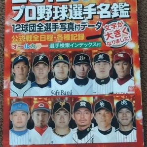 2015　　プロ野球選手名鑑　　スポーツニッポン新聞社