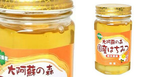 お得な２本セット　熊本県産はちみつ「帯山大阿蘇の森」　糖度７８℃以上　天然はちみつ　新蜜です