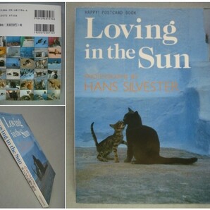 【CAT POSTCARD BOOK】ポストカード ギリシアの親子猫30 Loving in the Sun  [送料180円] の画像1