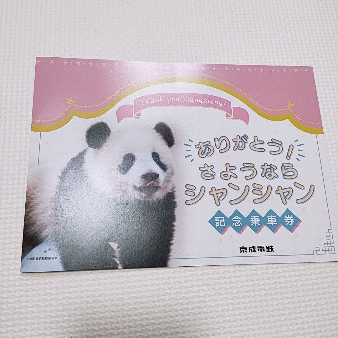 ハンドタオル 2枚セット チキンラーメン&上野動物園パンダ 