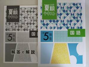 塾専用教材　小学夏期テキスト　小学5年生　国語　解答解説付き　【即決】