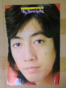 Kenji Sawada Nishiki Akira Cutout