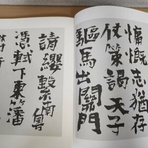 サイン入/署名入 書の本 中川一政 限定190/500部 石原龍一 求龍堂/美術家/歌人/随筆家/書家/書道/習字/アート/芸術/定価36000円/Z325020の画像4