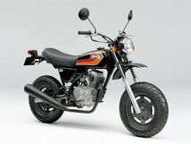 平状送料無料!絶版旧車★ape/エイプ50・100 希少ホンダ☆初期型限定カラー！カット済/高品質3M製品_画像1