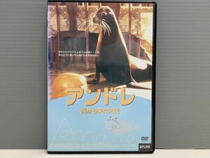 【DVD】廃盤レア！　アンドレ 海から来た天使　シール無し ケース交換済 再生確認済　シ014350