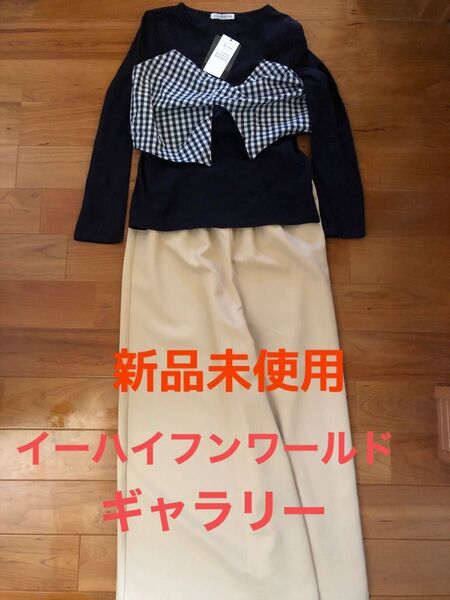未使用 イーハイフンワールドギャラリー カットソー ワイドパンツ セット