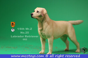 1/6 MR.Z×MCCToys 002 ラブラドール レトリーバー 犬 首輪付き スタチュー 模型