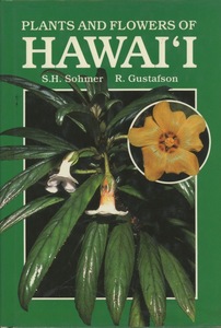 #PLANTS AND FLOWERS OF HAWAI'I Гаваи. растения . цветок осмотр : серебристый талон saw * гибискус kokio