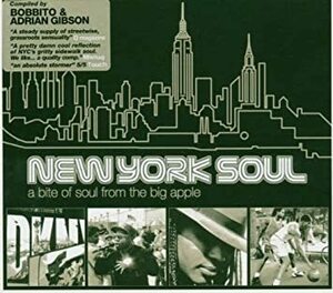貴重廃盤 New York Soul: Bite of Soul From the Big apple Angie Stone Pete Rock DJ Spinna feat Angela Johnson McKay 
