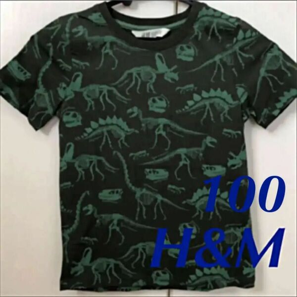Tシャツ100 / 105 H&M 恐竜柄 グリーン　キッズ