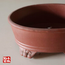 食器 アウトレット 植木鉢 陶器製 常滑焼_画像5