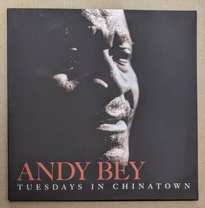 Andy Bey アンディ・ベイ - Tuesdays In Chinatown 限定リマスター再発二枚組45回転アナログ・レコード