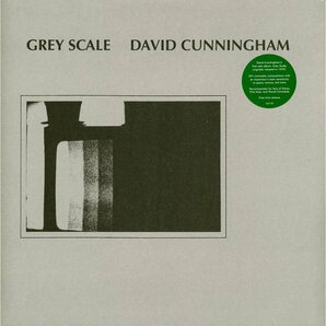 David Cunningham デヴィッド・カニンガム (=The Flying Lizards) - Grey Scale 限定再発アナログ・レコード