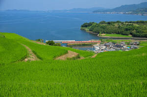 鉄道 デジ 写真 画像 キハ66/67形 大村線 国鉄急行色 7