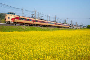 鉄道 デジ 写真 画像 381系 国鉄色 特急やくも 43