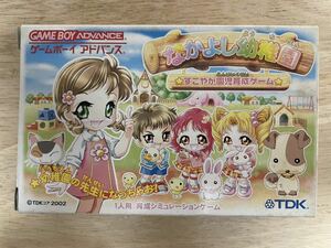 【限定即決】なかよし幼稚園 すこやか園児育成ゲーム TDKコア株式会社 AGB-P-AHVJ 箱‐取説あり N.1704 ゲームボーイ アドバンス レトロ