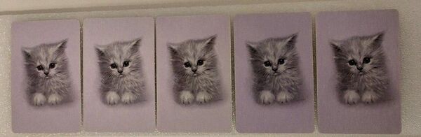 【ネコ ねこ 猫】トランプ