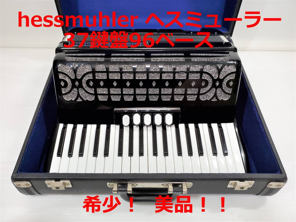 貴重 accordiana アコーディオン イタリア製 30鍵盤 24ベース 完動品