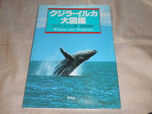 大図鑑 ザトウクジラ マッコウ シロイルカ クジラ・イルカ アンソニー・マーティン 編著 鯨 粕谷俊雄 平凡社 座礁 科学 海洋汚染　4,800円 
