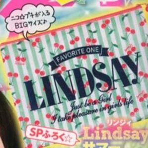 ニコプチ　付録　リンジィ　LINDSAY　サマー　クラッチバッグ　チェリー柄　ロゴ入り　チャーム　大きめポーチ　BIGポーチ