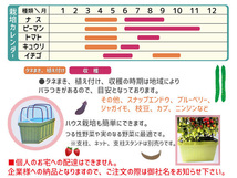 野菜 プランター 菜園 プランター 34L 630SN深型 12個セット 63×30×33H(cm) グリーン アイカ 配送不可地域有 法人のみ配送 送料無料_画像3