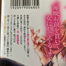 は★H系★TL★羽柴みず★ラブきゅん★お前のすべてを抱き尽くす★交際０日、いきなり結婚！？★１巻のみ★帯付き★送料230円★同梱ＯＫ_画像6