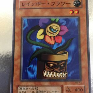 遊戯王カード レインボーフラワー