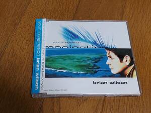 (CDシングル) Brian Wilson●ブライアン・ウィルソン/ Your Imagination ユア・イマジネーション　日本盤　帯付き