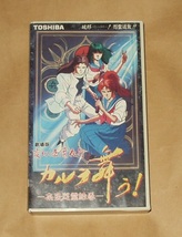 VHSビデオ 変幻退魔夜行 カルラ舞う! 奈良怨霊絵巻_画像1