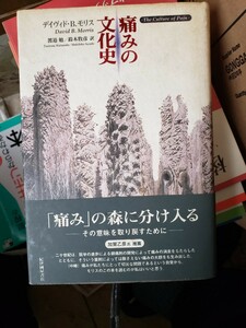 〈初版・帯〉痛みの文化史　デイヴィド・B.モリス 著 ; 渡邉勉, 鈴木牧彦 １９９８年【管理番号2Fcp本401扉b】608P