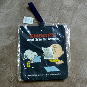  Snoopy / shoes inserting 