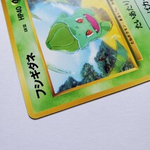 【画像現状品・商品説明必読】ポケモンカード 旧裏面 フシギダネ イントロパック ★検索★ ポケカ カードダス マイナー 同封可能です。_画像5