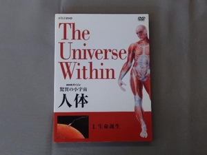 DVD NHKスペシャル 驚異の小宇宙 人体 生命誕生