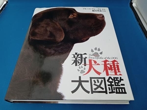  Junk новый собака вид большой иллюстрированная книга блюз four gru покрытие . трещина есть 