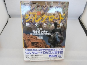 講談社版 新シルクロード 歴史と人物(第4巻) NHK映像提供