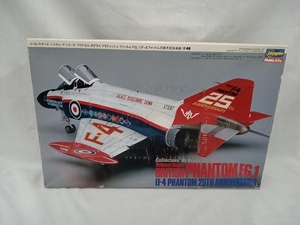 プラモデル ハセガワ 1/48 マクドネル ダグラス ブリティッシュ ファントムFG.1 (F-4ファントム25周年記念塗装)