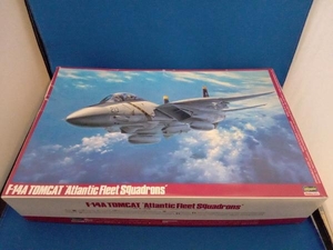 プラモデル ハセガワ 1/48 F-14A トムキャット 大西洋空母航空団 「P19」