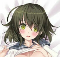 【送料無料】【匿名配送】ずっと前から女子でした 風間星名 抱き枕カバー