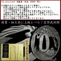 【刀装具 #2847】 ≪S級≫ （鍔） これぞ「武州」の大名品！ 大胆な構図の鶴亀図 鉄地鍔 保存刀装具 【材質・細工共に上級作品】_画像1