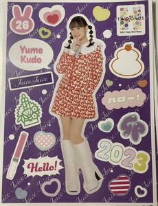 【工藤由愛】コレクションピンナップポスター ピンポス Hello! Project 「Hello! Project 2023 Winter　～TWO OF US～」