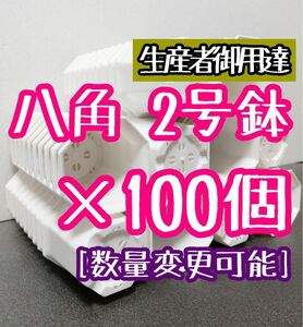 八角鉢 ◎2号◎白 100個 アガベ 多肉植物 プラ鉢