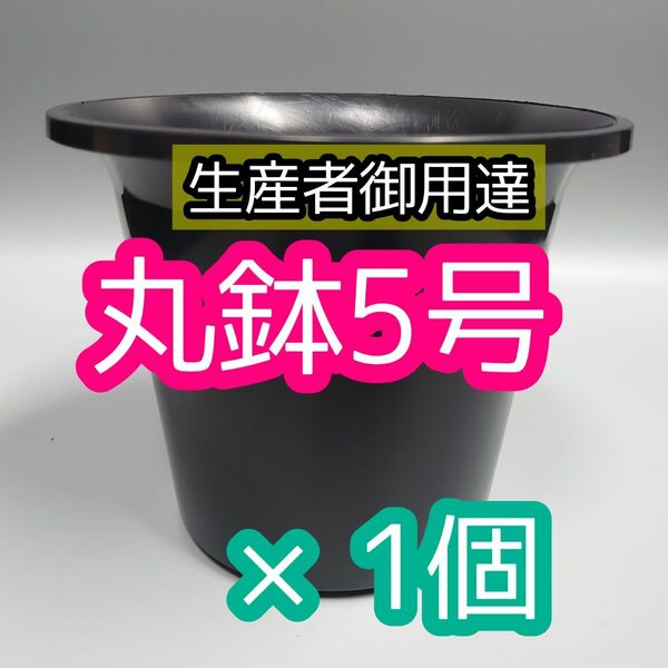 丸鉢 5号 黒 1個 プラ鉢 サボテン アガベ 多肉植物 観葉植物 多肉植物 盆栽 コーデックス ハーブ 薔薇 バラ 野菜苗