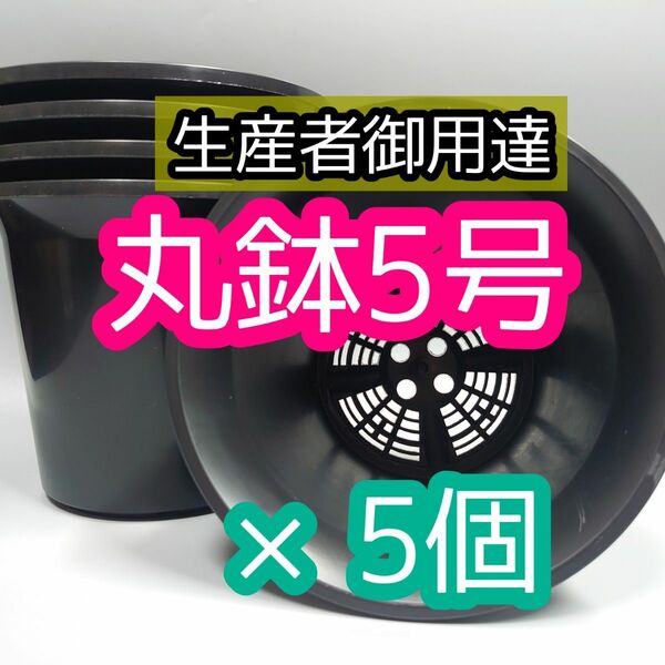 丸鉢 5号 黒 5個 プラ鉢 サボテン アガベ 多肉植物 観葉植物 多肉植物 塊根植物 コーデックス