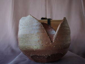  Shiga prefecture less shape culture fortune height . spring .. Shigaraki lotus pot 