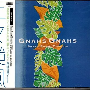 上々颱風「グナース・グナース/GNAHS GNAHS」