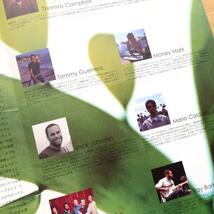 Thomas Campbell　Sprout　パンフレット　2005年発行　野村訓市　Tommy Guerrero　Jack johnson　Tortoise　Ray Barbee　スプラウト　映画_画像4