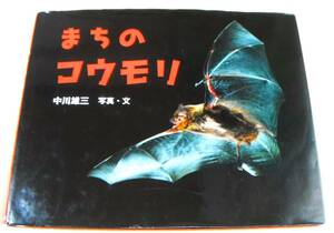 蝙蝠、こうもり「まちのコウモリ」中川雄三 写真・文
