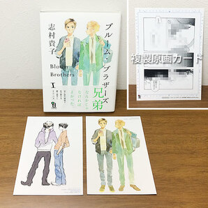 ブルーム・ブラザーズ 1/志村貴子★特典3種付★とらのあな特典イラストカード/アニメイト複製原画カード/on BLUE 9周年記念/11周年記念